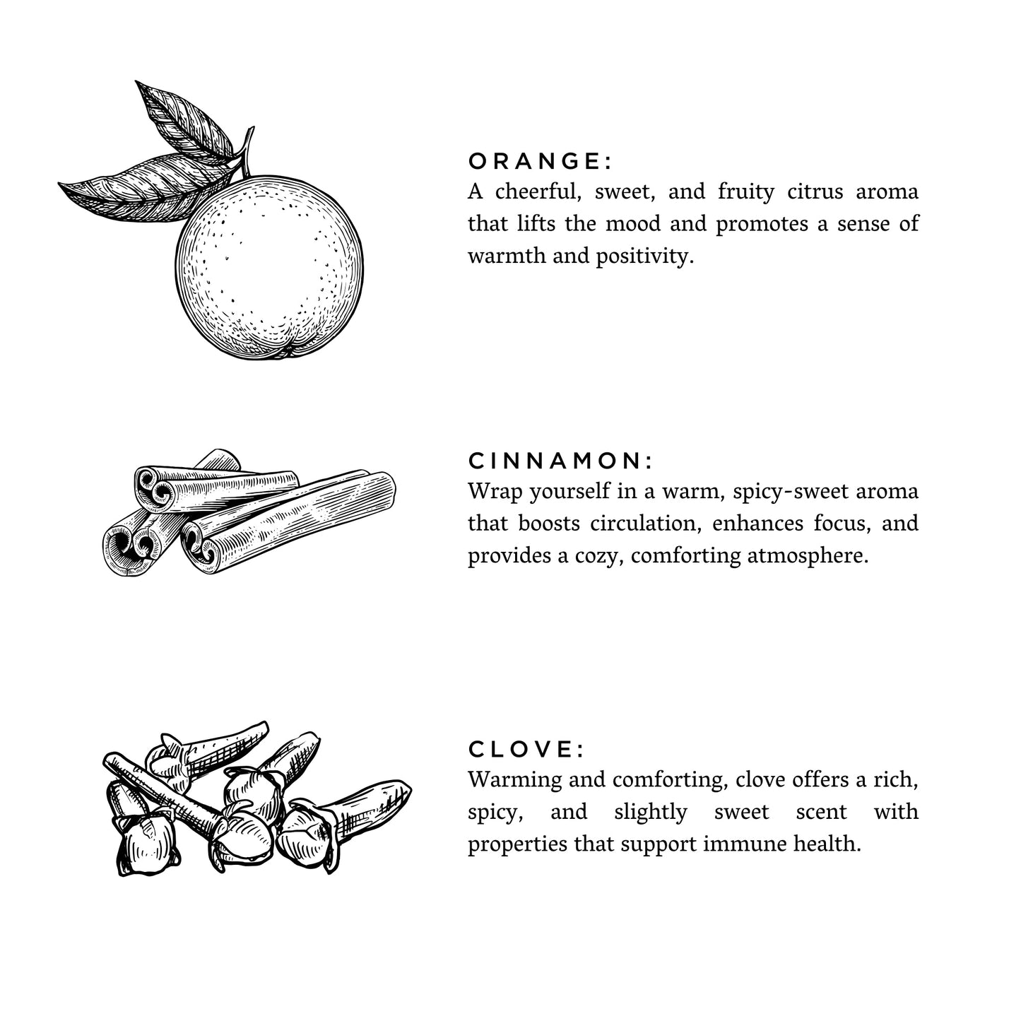 Orange + Clove - Signature Candle