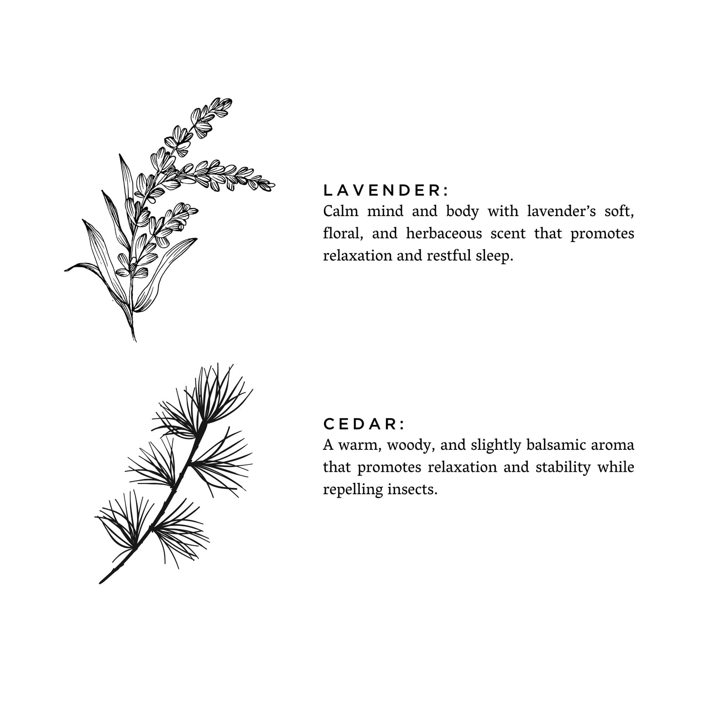 Lavender + Cedar - Signature 3-Wick Candle