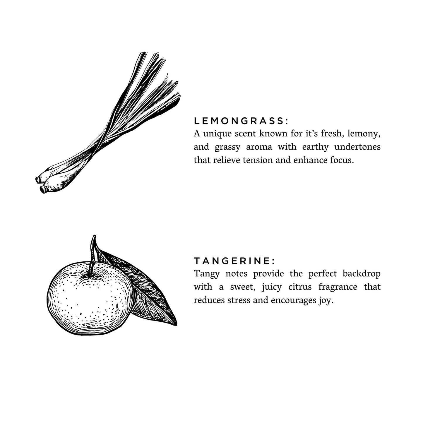 Lemongrass + Tangerine - Reed Diffuser