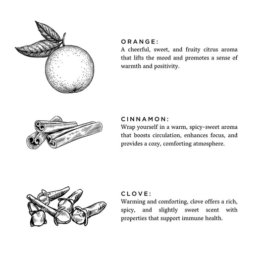 Orange + Clove - Reed Diffuser